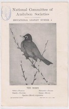 Audubon Society 1903 Educational Leaflet No 4  The Robin - £1.74 GBP