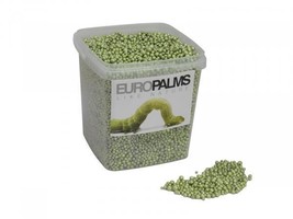 EUROPALMS Blähton-kugeln, Lime, 186oz Bucket - £13.97 GBP