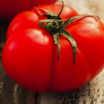 4000 Seeds Beefsteak Tomato NON-GMO Heirloom Fresh Vegetable - £27.57 GBP