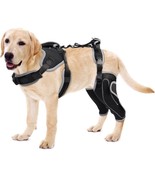 LISPOO Dog Acl Knee Brace for Torn Acl Leg Luxating Patella Dog Knee Bra... - €38,72 EUR