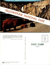 Wyoming(WY) Yellowstone National Park Bear &amp; Cubs by Classic Car VTG Postcard - £7.38 GBP