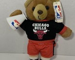 Play-by-Play NBA Fan Bears Chicago Bulls vintage plush teddy basketball ... - $9.89