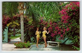 Weeki Wachee Mermaids Florida Postcard Ladies In Swim Suits Garden Patio Unused - £11.31 GBP