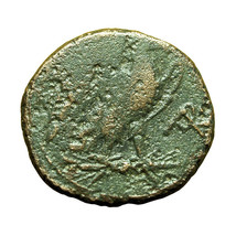 Ancient Greek Coin Roman Rule Syracuse Sicily AE20mm Zeus / Eagle 04008 - $28.79