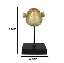 Coastal Marine Faux Taxidermy Golden Pufferfish Fish Sculpture On Pole Mount - £27.90 GBP