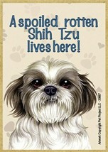 A spoiled rotten Shih Tzu lives here! Cute Wood Fridge Magnet 2.5x3.5 Gi... - $5.86