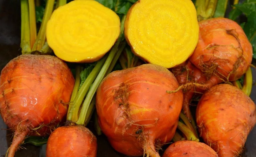 BStore 35 Seeds Golden Detroit Beet Collection Non Gmo - £7.35 GBP