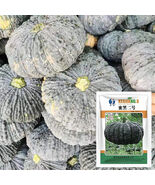 Honey Black No.2 Pumpkin Seeds - $715.23 MXN