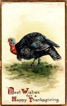 Best Wishes for a Happy Thanksgiving Antique Postcard Turkey Posted 1908 Wash DC - £7.85 GBP