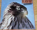 Blackfoot – Marauder LP - US 1981 - ATCO – SD 32-107 in Great Shape VG+!! - $8.79