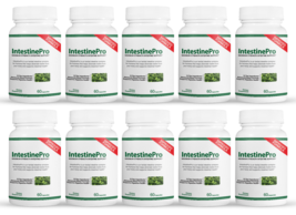 10 Pack IntestinePro, soporte intestinal de máxima fuerza-60 Cápsulas x10 - $277.19