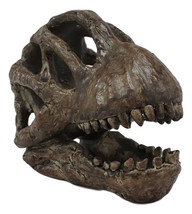 Faux Taxidermy Replica Brachiosaurus Dinosaur Head Fossil Small Skull Fi... - $701.15 MXN