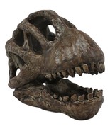 Faux Taxidermy Replica Brachiosaurus Dinosaur Head Fossil Small Skull Fi... - $691.32 MXN