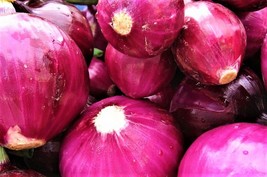 200+ Seeds Red Grano Onion Seeds NON-GMO - £10.21 GBP