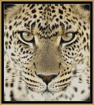Leopard! ~~ counted tapestry pattern PDF - $15.99