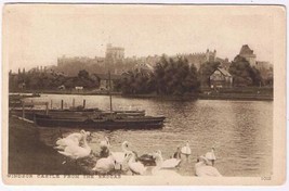 United Kingdom UK Postcard Windsor Castle From The Brocas Swans - $2.96