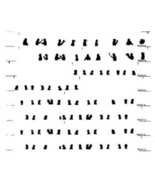 AMERICAN FLYER TRAINS 952 953 954 White Translucent WINDOW SILHOUETTES S... - $24.60 CAD