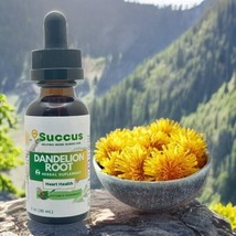 Dandelion Root Tincture - (Cardiovascular System) - Alcohol Free - £11.58 GBP