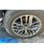Wheel 17x7-1/2 Alloy 15 Spoke Fits 21-25 ROGUE 104827266 - $178.20