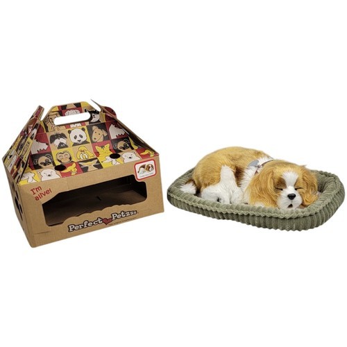 Perfect Petzzz Peluche De Cavalier King Charles Perfect Petzzz Peluche De Cavalier King Charles