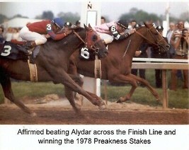 1978 - AFFIRMED &amp; ALYDAR - Preakness Stakes Finish Line - Color - 10&quot; x 8&quot; - £15.46 GBP