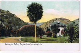 California Postcard Decanso Canon Santa Catalina Island Newman Germany - £3.33 GBP