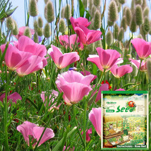 200 Seeds Eschscholzia Californica Rose Red Fresh Seeds - $9.99