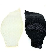 a Lot of TWO authentic Patent Fish Skins Hide Leather Craft Supply - $8.77 CAD