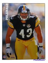 Troy Polamalu Pittsburgh Steelers NFL Hall of Fame 5x6inch Plaque Sealed - $9.41
