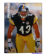 Troy Polamalu Pittsburgh Steelers NFL Hall of Fame 5x6inch Plaque Sealed - £7.39 GBP