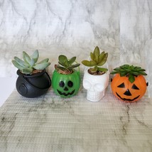 Live Succulent in Mini Halloween Planter, Pumpkin Jack O'Lantern Skull Cauldron image 1