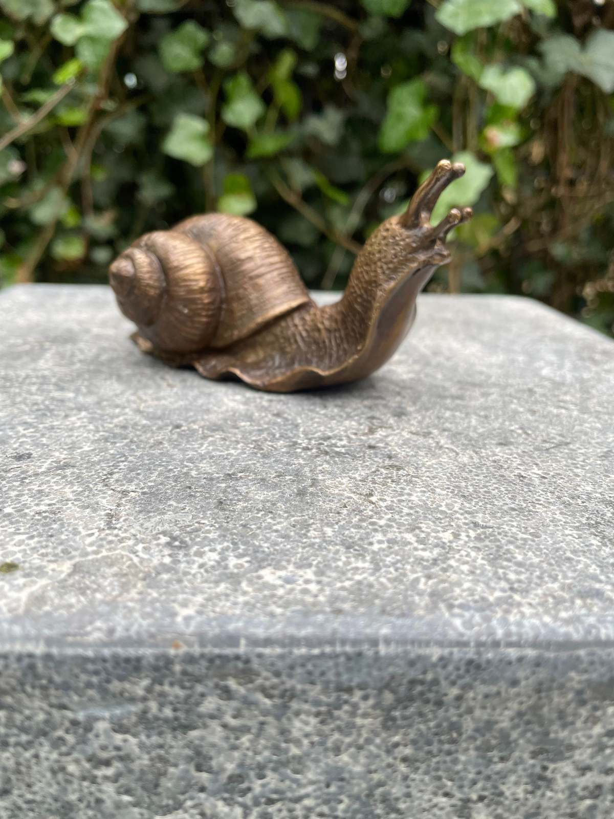 Garden Snail – Bronze Sculpture. 11x5x6cm - 0.9 Kg - $59.95