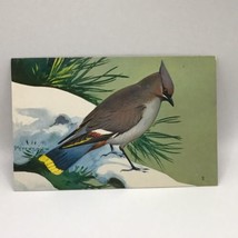 Bohemian Waxwing Bird Painting Vintage Postcard Posted with Message - £5.17 GBP