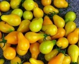 Yellow Plum Tomato Seeds 100 Garden Vegetables Salad Non-Gmo Fast Shipping - $8.99