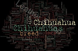 Chihuahua Trait Word Design Vinyl Checkbook Cover - £6.85 GBP