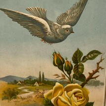Dove Bird Flowers Trade Card Victorian Vintage Print - $4.94