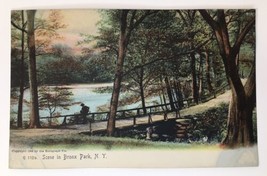 Scene in Bronx Park, New York NY - Antique Postcard Undivided Back c.1905 - £9.41 GBP
