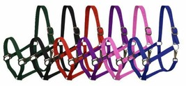 Small Pony size Horse 11h - 12.3h.Heavy Nylon Halter Purple Red Green Pi... - $9.72