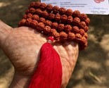 LAB CERTIFIED 5 Mukhi RUDRAKSHA Rudraksh Mala ROSARY 108+1 Prayer Beads,... - £14.65 GBP