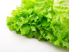 Leaf Lettuce Seeds - Organic &amp; Non Gmo Lettuce Seeds - Heirloom Seeds – ... - £1.79 GBP