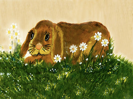 Bunny In The Grass by Barbara Snyder Bunny Rabbit Grass Daisies Flowers 9x12 ❤ - £38.68 GBP