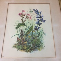 Floral Botanical Blue Sage Musk Mallow Framed Matted Artwork 15.25&quot; x 12.75&quot;  - £44.67 GBP