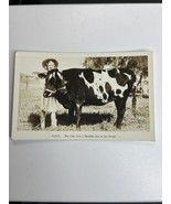 Circus RPPC Dolly The Only Live 2 Headed Cow In The World Cattle Postcard - $266.55 MXN