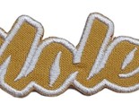 Florida Noles Text  Embroidered Applique Iron On Patch Various Sizes Cus... - £3.95 GBP+