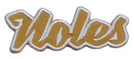 Florida Noles Text  Embroidered Applique Iron On Patch Various Sizes Customize - £3.89 GBP+