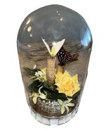 Vintage Dried Preserved Butterfly Glass Dome Decor 9&quot; Yellow Brown Roses... - $24.95