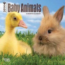 Baby Animals - 2014 Mini Calendar - £4.78 GBP