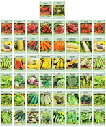 Black Duck Brand 50 Packs Assorted Heirloom Vegetable Seeds 20+ Varietie... - $21.74