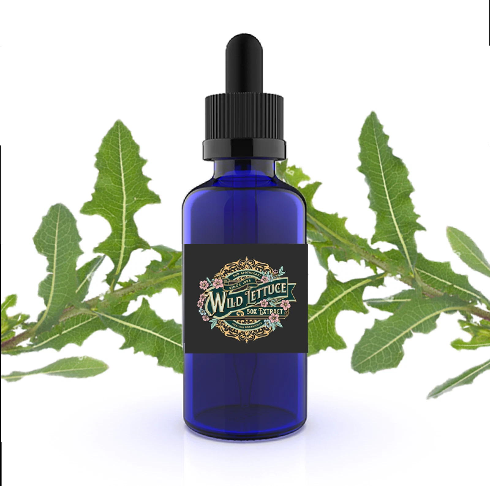 Wild Lettuce Extract (Lactuca Virosa) Pain Anxiety -  Liquid Extract - $18.05