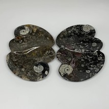 2pcs Set,8.5&quot;x5.5&quot; Double Heart Fossils Orthoceras Ammonite Bowls @Morocco,B8517 - £38.48 GBP